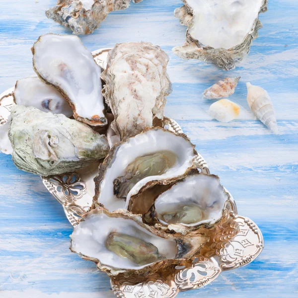 Oesters close up — Stockfoto