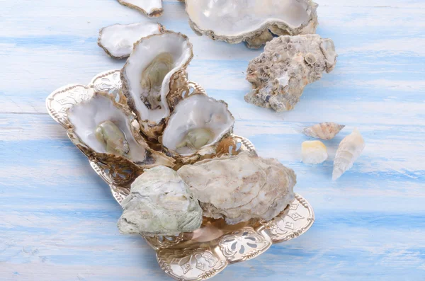 Oysters close up — Stock Photo, Image