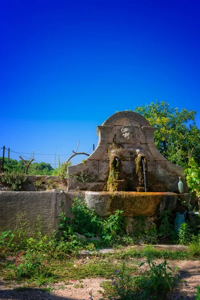 Ancienne fontaine de jardin — Photo