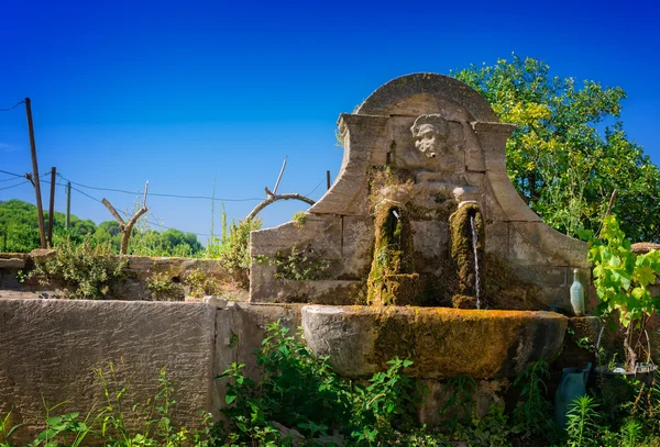 Fonte velha do jardim — Fotografia de Stock