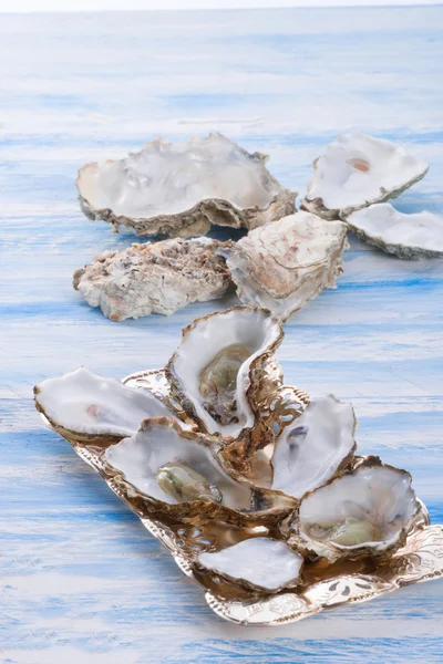 Oysters close up — Stock Photo, Image