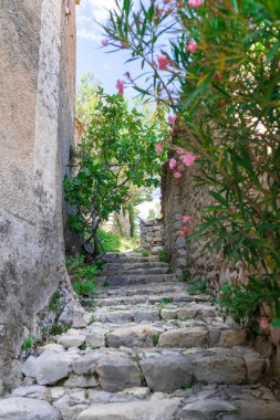 Provence Köyü