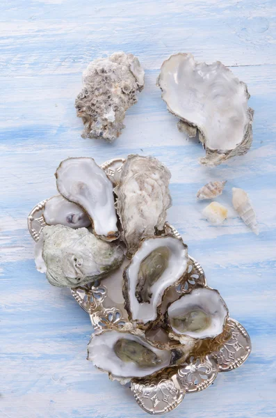 Fresh oysters — Stock Photo, Image