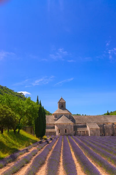 Monasteries of the Cistercian — Stock Photo, Image