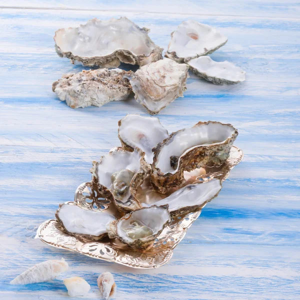 Oysters heap — Stock Photo, Image