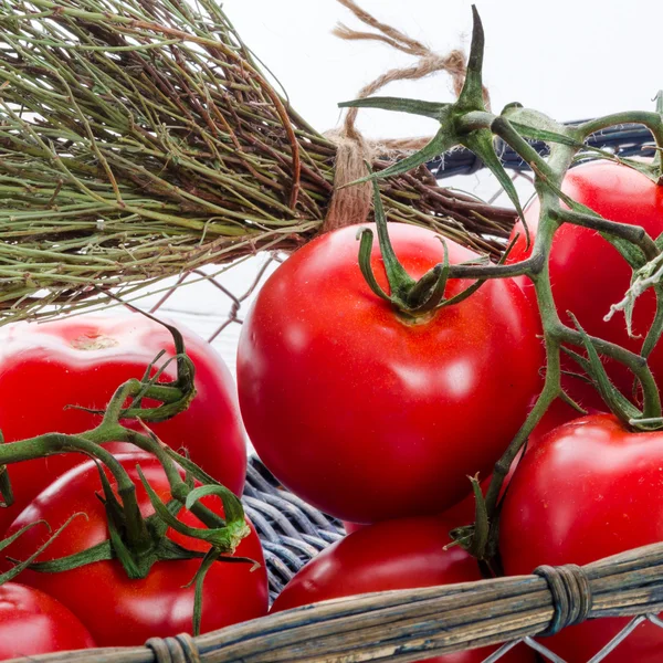 Tomaten in de mand — Stockfoto