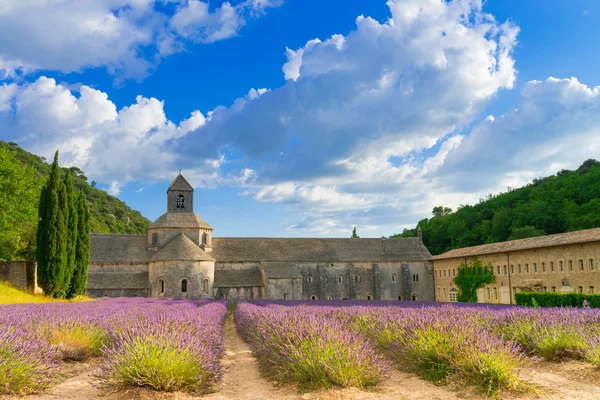 Monasteri dei cistercensi — Foto Stock