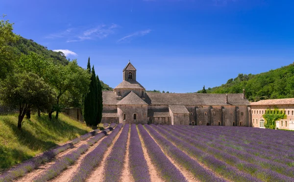 Monasteri dei cistercensi — Foto Stock