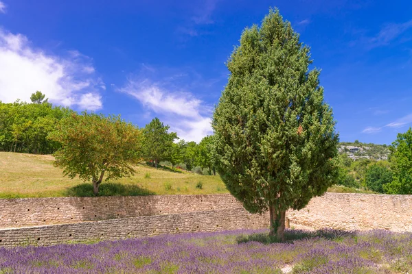 Klöster der Zisterzienser — Stockfoto