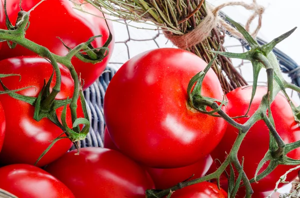 Tomaten in de mand — Stockfoto