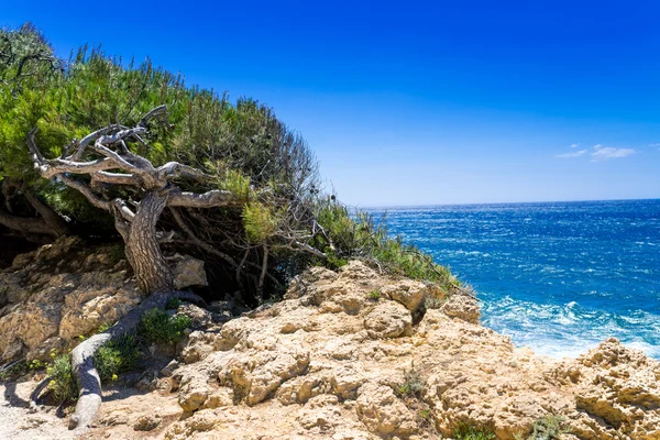 Côte d Azur — Fotografia de Stock