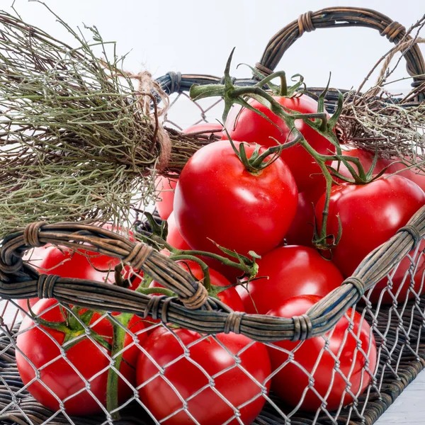 Tomaten in de mand — Stockfoto