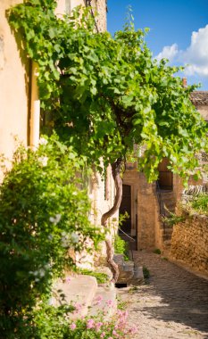 Provence Köyü