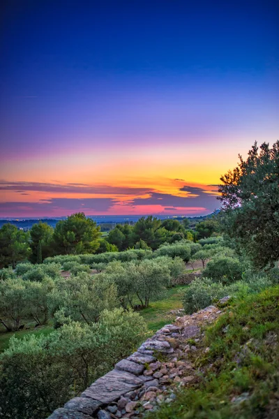 Vista caromba — Foto Stock