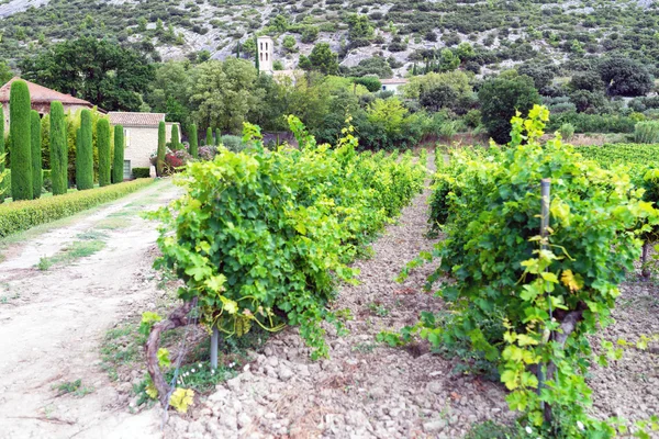 Village in provence — Stock Photo, Image