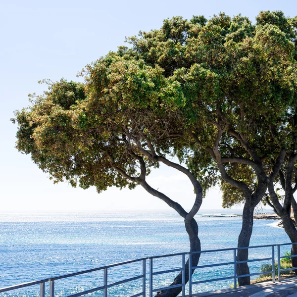 Côte d Azur — Fotografia de Stock