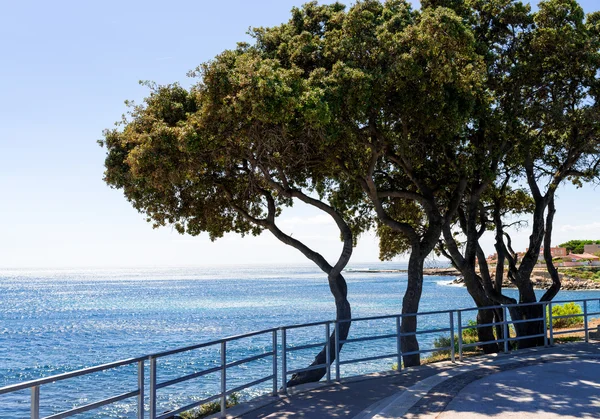 Côte d Azur — Fotografia de Stock