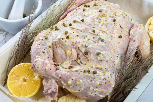 Marinated chicken — Stock Photo, Image