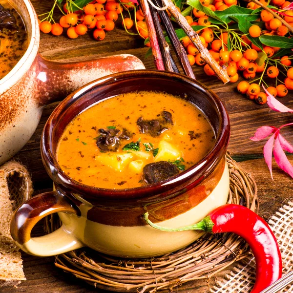 Sopa de rabo — Fotografia de Stock