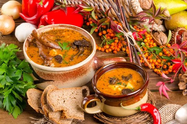 Ochsenschwanzsuppe — Stockfoto