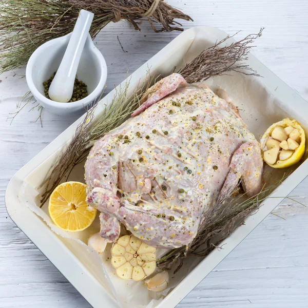 Marinated chicken — Stock Photo, Image