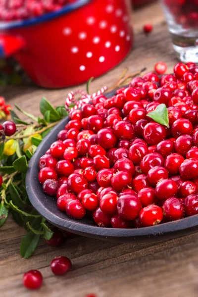 Red Lingonberries — Stock Photo, Image