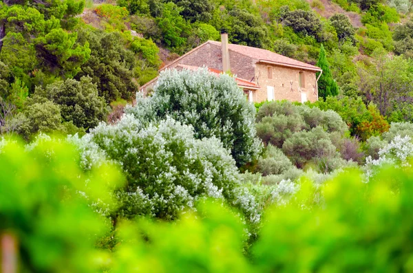 Aldeia em provence — Fotografia de Stock