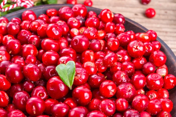 Red Lingonberries — Stock Photo, Image