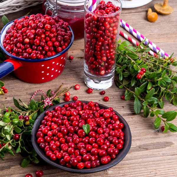 Red Lingonberries — Stock Photo, Image