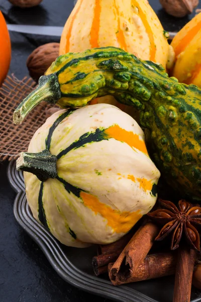 Autumn pumpkins — Stock Photo, Image