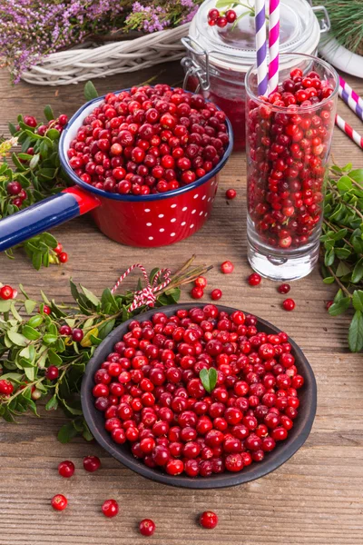 Lingon berries — Stock Photo, Image