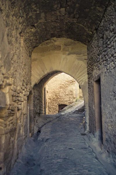 Wijngaard in de provence — Stockfoto