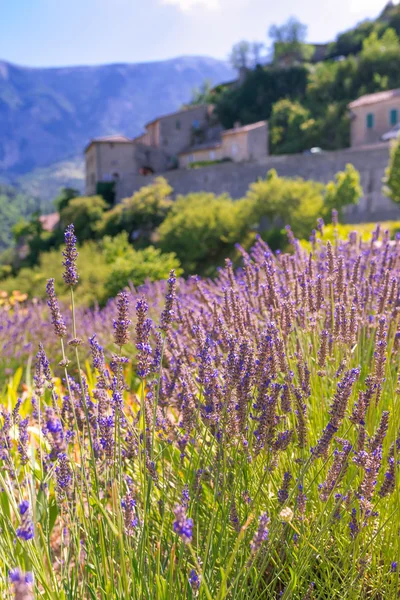 Brantes commune — Stock Photo, Image