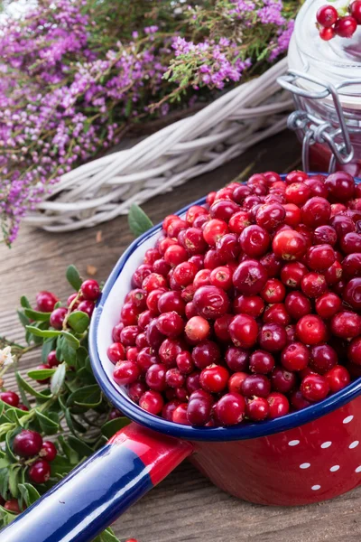 Lingon berries — Stock Photo, Image