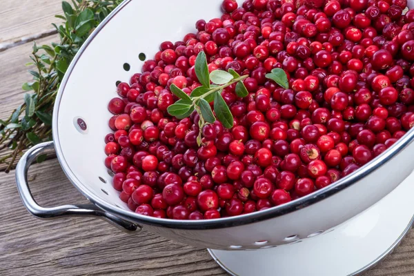 Cranbe rries in colander — Stock Photo, Image