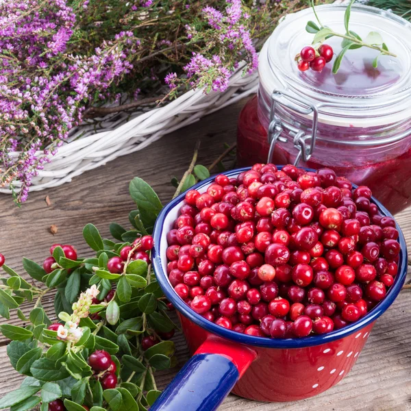 Lingonberries vermelhas — Fotografia de Stock