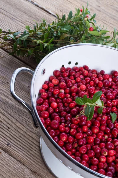 Cranberries in a colander — Stock Photo, Image