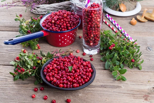 Red Lingonberries — Stock Photo, Image