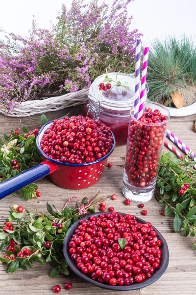 Fresh Lingonberries — Stock Photo, Image