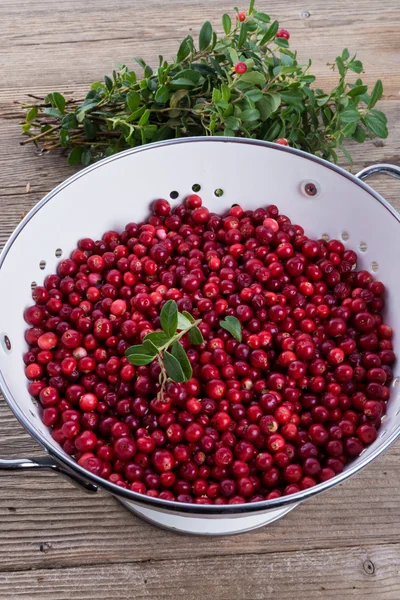 Cranberries in a colander — Stock Photo, Image