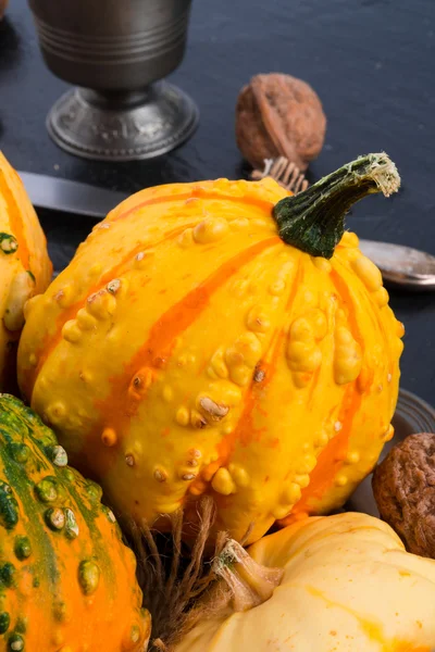 Autumn pumpkins — Stock Photo, Image