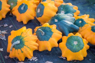 Pattypan kabak