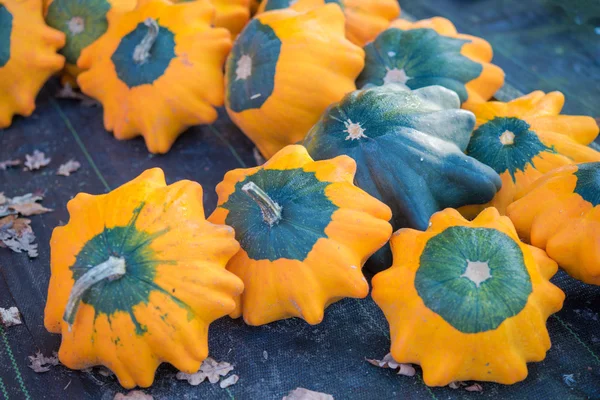 Zucca Pattypan — Foto Stock