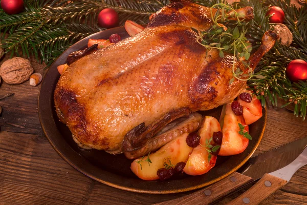 Christmas duck — Stock Photo, Image