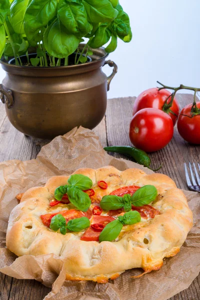 Baked Freschetta — Stock Photo, Image