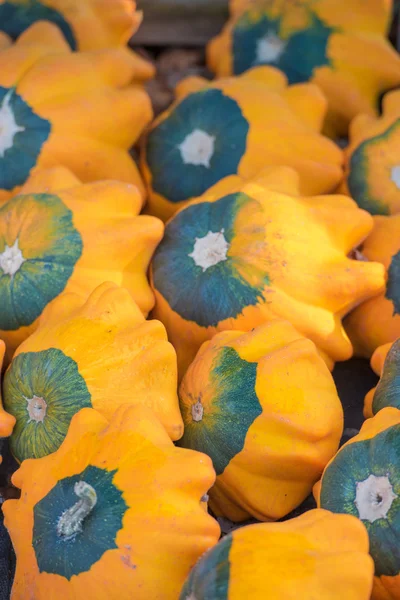 Abóboras laranja — Fotografia de Stock