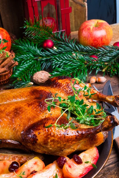 Christmas duck — Stock Photo, Image