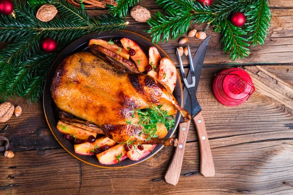 Christmas duck — Stock Photo, Image