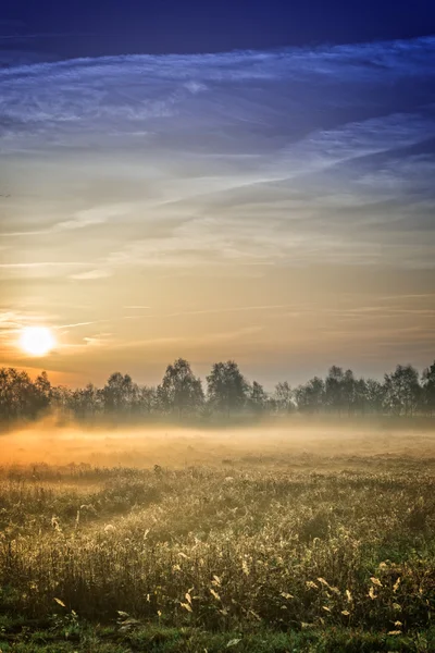 Sunrise over the Vehnemoor — Stock Photo, Image