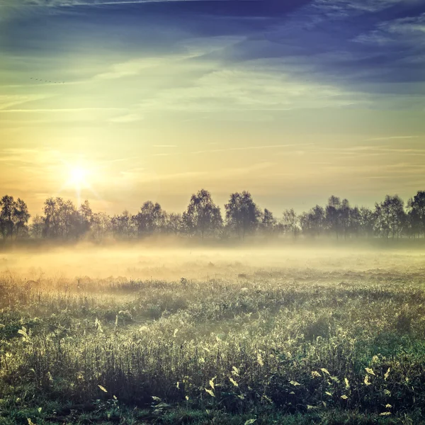 Sunrise over the Vehnemoor — Stock Photo, Image